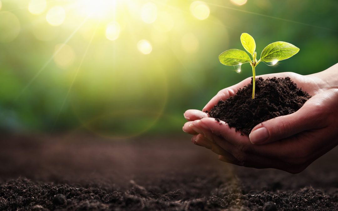 Milliken-Ontera: positively impacting the world for generations to come