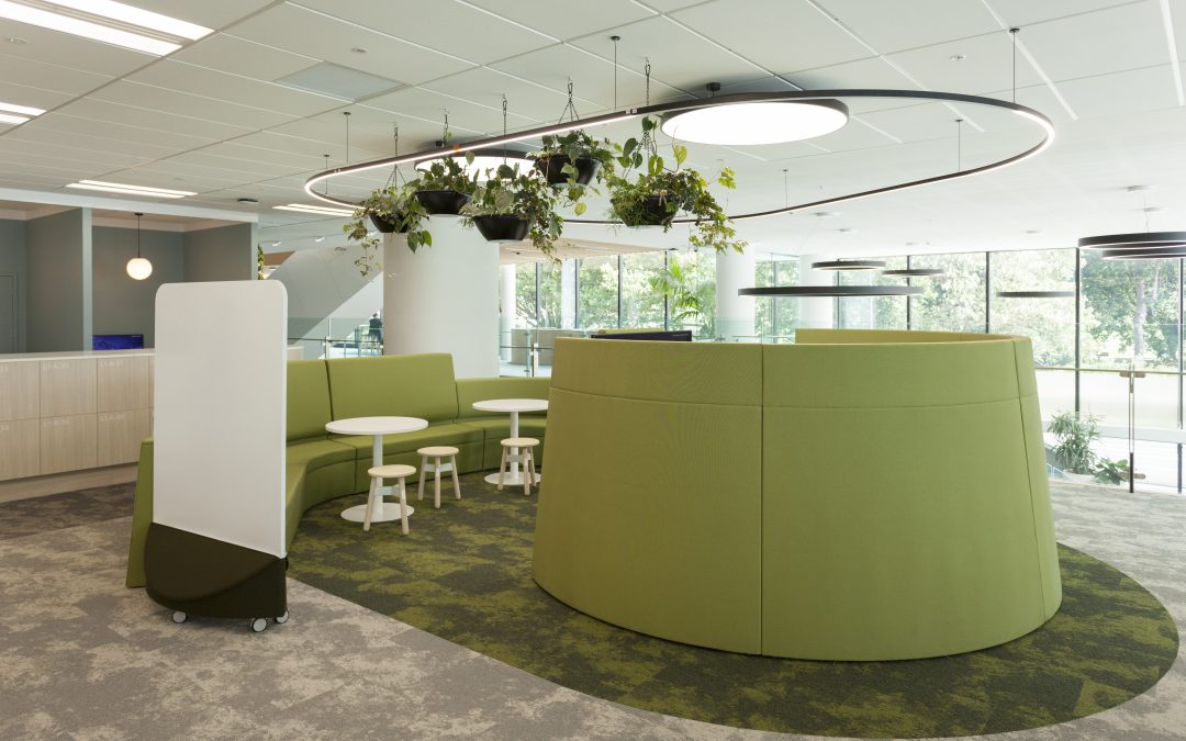 Whale Song modular carpeting hits a sustainable note for Southern Cross